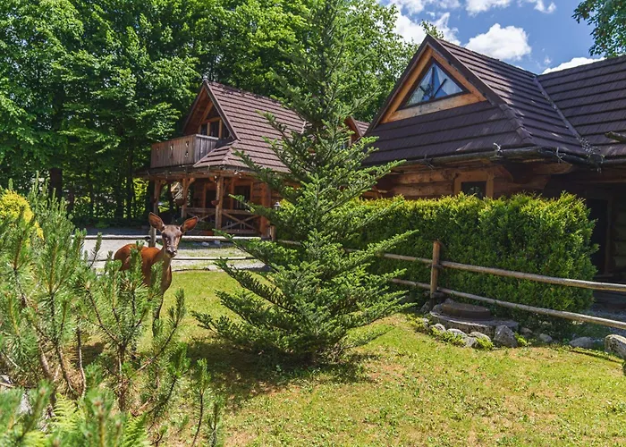 Willa Mountain Shelter Zakopane